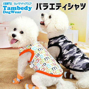 _20NFINALSALE^y ĕ ̕ tpzs\toGeBVcyhbOEFA ybg AEgbg  Aj} _bNX gCv[h ` ^xfB 킢 ps