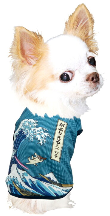 別倉庫からの配送 犬 服 名入れ 春夏用 パロディ 袖なし 暑さ対策 チワワ ダックス トイプードル 面白い 名前入り 冷感クール Wanta ワンタ タンクトップbw Chartidis Gr
