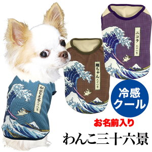 _SiP10{11/6 23:59܂Ł^y ĕp ̕  tzЂ ڐG⊴f N[ ̂O񂱎O\ZiVcyhbOEFA gCv[h ` a GG 