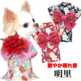愛犬（チワワ）の初詣姿を記念写真に収めたい！犬用お正月服（着物、晴れ着、和服）教えて！