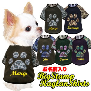 _SiP10{11/6 23:59܂Ł^y  ̕  H ~pẑO rbOX^vOVcyJt  ʃhbO ybg EFA _bNX gCv[h ` 