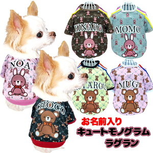 _SiP10{12/7 23:59܂Ł^y  ̕  H ~pẑO L[gmOOyX|[eB   hbO ybg EFA _bNX gCv[h `