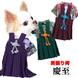 _H̐V쑱X^y  ̕ H ~p zjU(͂)c()s\tyꒅ  璹iq  N ܎O j̎q hbO ybg EFA gCv[h `