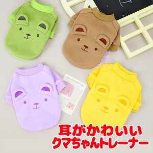 _20NFINALSALE^y  ̕ H ~pz킢N}g[i[yN ΍ Jt hbO ybg EFA _bNX gCv[h ` ^xfB킢 V