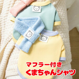 _P5{11/23 23:59܂Ł^y  ̕ H ~pz}t[tN}Vcy}t[ O\ xA ΍ hbO ybg EFA _bNX gCv[h ` ^