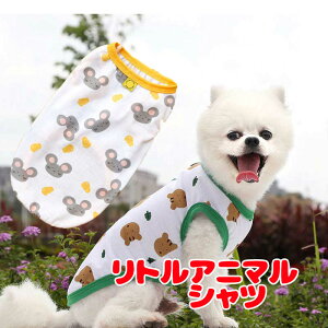 _SiP10{10/27 9:59܂Ł20N^y  ̕ t ėpzy\zgAj}Vcy˂ X  [΍ hbO ybg EFA AEgbg _bNX gCv[h 