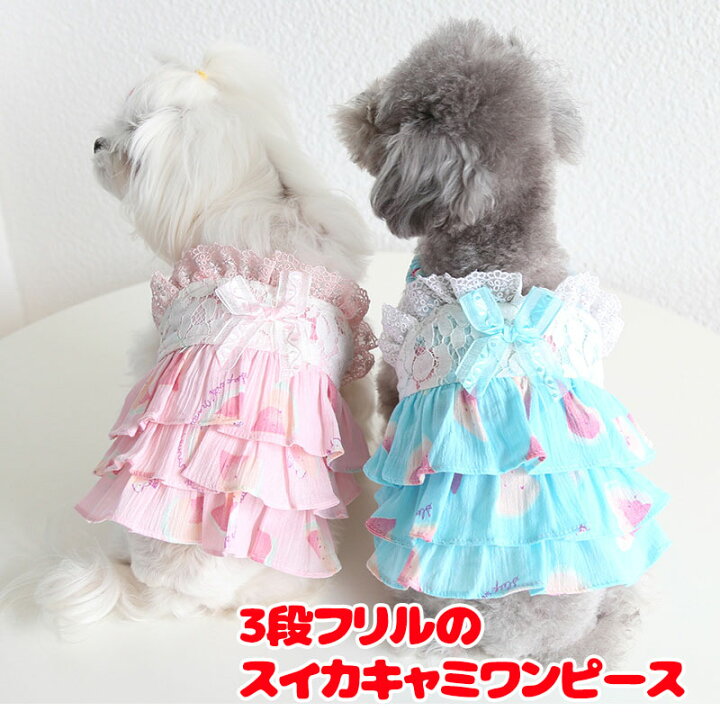 犬服^ ^フワフワフリフリきゃみ