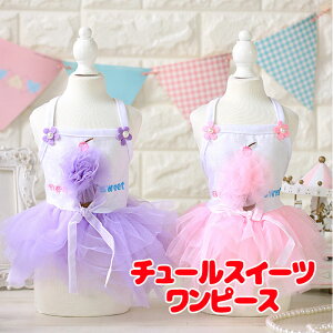 _P10{12/3 23:59܂Ł^y  ̕  t ĕp z`[XC[cs[XyhbOEFA pXe { ybg _bNX gCv[h ` ^xfB킢 |