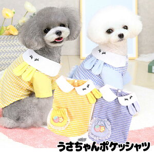 _20NFINALSALE^y ĕ ̕ tpz|PbgVcyhbOEFA  `FbN ݕt  hbO ybg _bNX gCv[h ` ^xfB킢 p