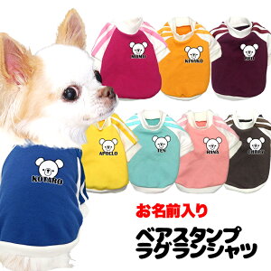 _SiP10{11/6 23:59܂Ł^y  ̕  tH ~pẑO xAX^vOVcy2C X|[eB  TVchbO ybg EFA _bNX gCv[