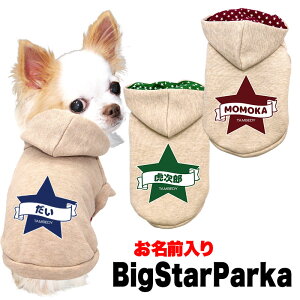 _P10{11/27 1:59܂Ł^y  ̕  H ~pẑO rbOX^[p[J[yg[i[񌳃}WbNe[vhbO ybg EFA _bNX gCv[h ` 