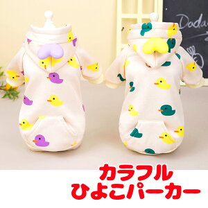 _20NFINALSALE^y  ̕ H ~pzJtЂ悱p[J[yN OJ  hbO ybg EFA _bNX gCv[h ` ^xfB 낢 V[