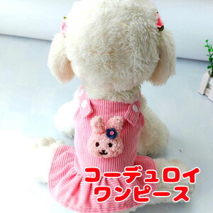 _123SiP10{20NSALE^y  ̕ H ~pzR[fCs[Xy `[t Wp[XJ[ghbO ybg EFA _bNX gCv[h ` ^xfB 