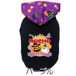 _SiP5{12/8 23:59܂Ł^y  ̕  H ~pẑO nEB[p[J[yڂ IoP  [X }WbNe[vhbO ybg EFA _bNX g