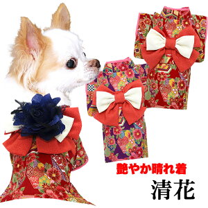 _SiP10{12/7 23:59܂Ł^y  ̕ H ~pz₩ꒅ (悩)s\tsRT[Wʔt y  w N ܎O OJhbO ybg EFA _b