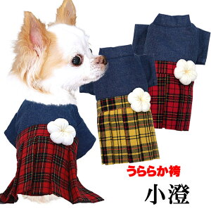 _11/11X^[gSALE^y  ̕ H ~pz炩 ()s\ty a  w N ܎O OJhbO ybg EFA _bNX gCv[