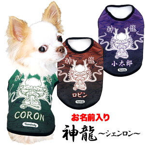 _P10{12/3 23:59܂Ł^y  ̕  tH ~pẑO _`VF`yx CN hS NhbO ybg EFA _bNX gCv[h ` ^x