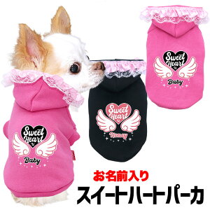 _SiP5{12/8 23:59܂Ł^y  ̕  H ~pẑO XC[gn[gp[J[yg[i[ t [X n[ghbO ybg EFA _bNX gCv[h 