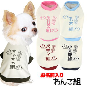 _P5{11/23 23:59܂Ł^y  ̕ tH ~pẑO 񂱑g ^pyӌ  hbO ybg EFA _bNX gCv[h ` ^xfB ʔ V[