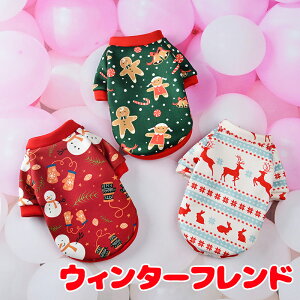 _20NFINALSALE^y  ̕ H ~pzEB^[thVcyNX}X Ⴞ mfBbN NbL[}  NуhbO ybg EFA _bNX gCv[h `