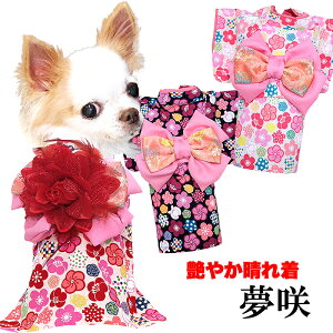 _20NFINALSALE^y  ̕ H ~pz₩ꒅ (߂)s\tsRT[Wʔt y  w N ܎O OJhbO ybg EFA gCv[h