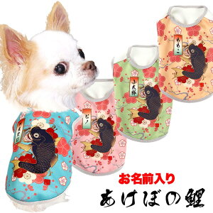 _SiP10{11/6 23:59܂Ł^y  ̕  t HpẑO ڂ̌ya a ~ hbO ybg EFA AEgbg _bNX gCv[h ` ^x