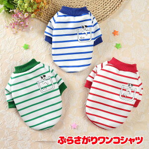 _20NFINALSALE^y  ̕ t H~pzԂ炳胏RVcy{[_[ |Cg NуhbO ybg EFA AEgbg _bNX gCv[h ` ^xfB