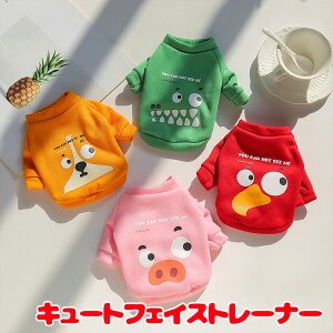 _4H聚20%OFFN[|^y  ̕ t H~pzL[gtFCXg[i[y   j N hbO ybg EFA _bNX gCv[h ` ^xfB킢 