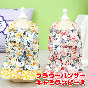 _4H聚Si20%OFFN[|^y  ̕ t ĕpzt[pT[L~s[Xyԕ qE ̎qhbO ybg EFA _bNX gCv[h ` ^xfB 