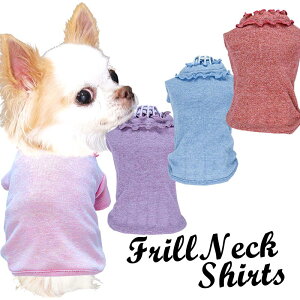 _11/11X^[gSALE^y  ̕ tĕztlbNVcylCio[ ۃhbO ybg EFA AEgbg _bNX gCv[h ` ^xfB 킢 p