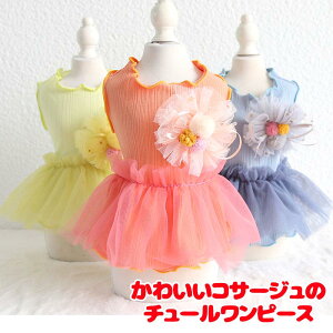 _H̐V쑱X^y  ̕ t ĕ z킢RT[W̃`[s[Xyݕt Ђ悱 jg C`ShbO ybg EFA _bNX gCv[h ` ^xfB
