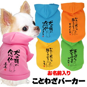 _SiP5{12/8 23:59܂Ł^y  ̕  tH ~pẑO Ƃ킴p[J[yi Jt t[hhbO ybg EFA _bNX gCv[h ` ^xf