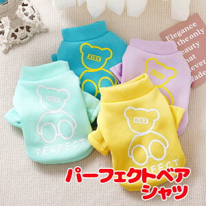 _11/11X^[gSALE^y  ̕ t ĕ zp[tFNgxAVcyN  hbO ybg EFA AEgbg _bNX gCv[h ` ^xfB