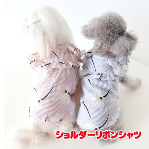 _20NFINALSALE^y  ̕ t ĕ zV_[{Vcyԕ t {[_[hbO ybg EFA AEgbg _bNX gCv[h ` ^xfBꂢ V[Y