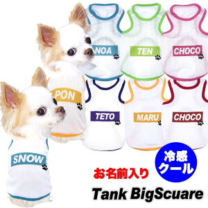 _SiP10{11/10 23:59܂Ł^y  ̕  tĕpẑO ^NrbOXNGA ڐG⊴fރN[ bV ^pylCi hbO ybg EFA _bNX g