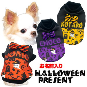 _SiP10{12/7 23:59܂Ł^y  ̕ H ~pẑO nEBv[gyڂ IoP lN^C { { hbO ybg EFA _bNX gCv[h 