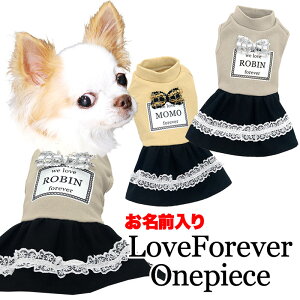 _P10{12/3 23:59܂Ł^y  ̕ H ~pẑO utH[Go[s[Xy{ LL [X {hbO ybg EFA _bNX gCv[h ` ^