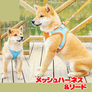 _H̐V쑱X^y n[lX ^zbVn[lXyhbOEFA U [h Jt S oh~ ΍ hbO ybg _bNX gCv[h ` ^xfB 