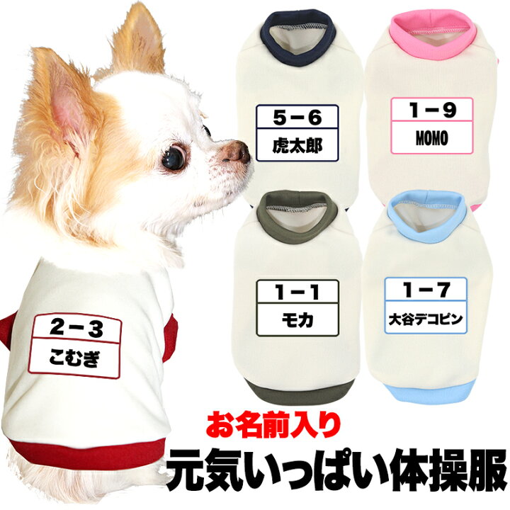 楽天市場】＼春の大感謝祭☆6/2 9:59まで／【犬 服 犬の服 秋服 冬服用 