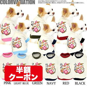 _4H聚Si20%OFFN[|^y  H~ ̕ ẑO t̂͂߁yhbOEFA _bNX gCv[h `  Č ^xfBz(O/3/RI/H/)yzCPz