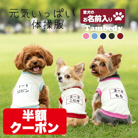 ＼全品P10倍★12/7 23:59まで／【犬 服 犬の服 秋服 冬服用 名入れ】愛犬のお名前入り 元気いっぱい体操服和柄【ドッグウェア 和柄 ダックス トイプードル チワワ おもしろ パグ タムベディ】(O/3/RI/H/)【半額CP】