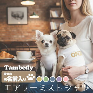 _P5{11/23 23:59܂Ł^y  H~ ̕ ẑO GA[~XgVcy{ i` Vv ` _bNX gCv[h 킢 [L[ ^xfBz(O