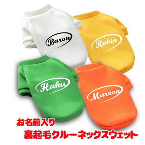 y  ̕ H ~pẑO NуN[lbNXEFbgyg h hbO ybg EFA _bNX gCv[h ` ^xfB ڗ |jAz