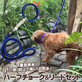 ＼初夏のBIGセール★開催中／【犬服 犬 服 犬の服 カラー リード】ハーフチョーク＆リードセット【犬用 ハーフチョーク トレーニング用 しつけ 訓練 カラフル 小型犬 中型犬ドッグ ペット ウェア ダックス トイプードル チワワ タムベディ 耐久性 柴犬】[CN]