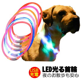 夜のお散歩も安心 光る首輪【LED首輪 安全 夜間 発光首輪 軽量小型犬 中型犬 USB充電式 発熱しない ドッグ ペット ウェア ダックス トイプードル チワワ タムベディ 安心ヨークシャテリア】[CN]