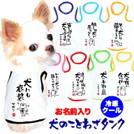 ＼P5倍★5/20 23:59まで／【犬服 犬 服 犬の服 夏用】愛犬のお名前入り 接触冷感素材 クール 犬のことわ…