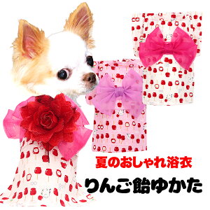 _SiP10{11/6 23:59܂Ł^y  ̕@t ĕpz񂲈 䂩 s\tsRT[Wʔty{ čՂ a ԉΑ CX^f ܎O hbO ybg 