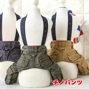 _11/11X^[gSALE^y  ̕z`mpcyhbOEFA ybg AEgbg _bNX gCv[h `  ^xfB  |jAz[CN]