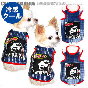 _11/11X^[gSALE^y tĕ ̕ zЂ ڐG⊴f N[ ̂O ̃R[ȂāI TbJ[jtH[^NgbvygCv[h `