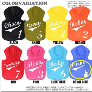 _SiP10{10/27 9:59܂Ł20N^y  ̕  t ĕpẑO X|[cbV^N vgyhbOEFA wԍ _bNX gCv[h ` 